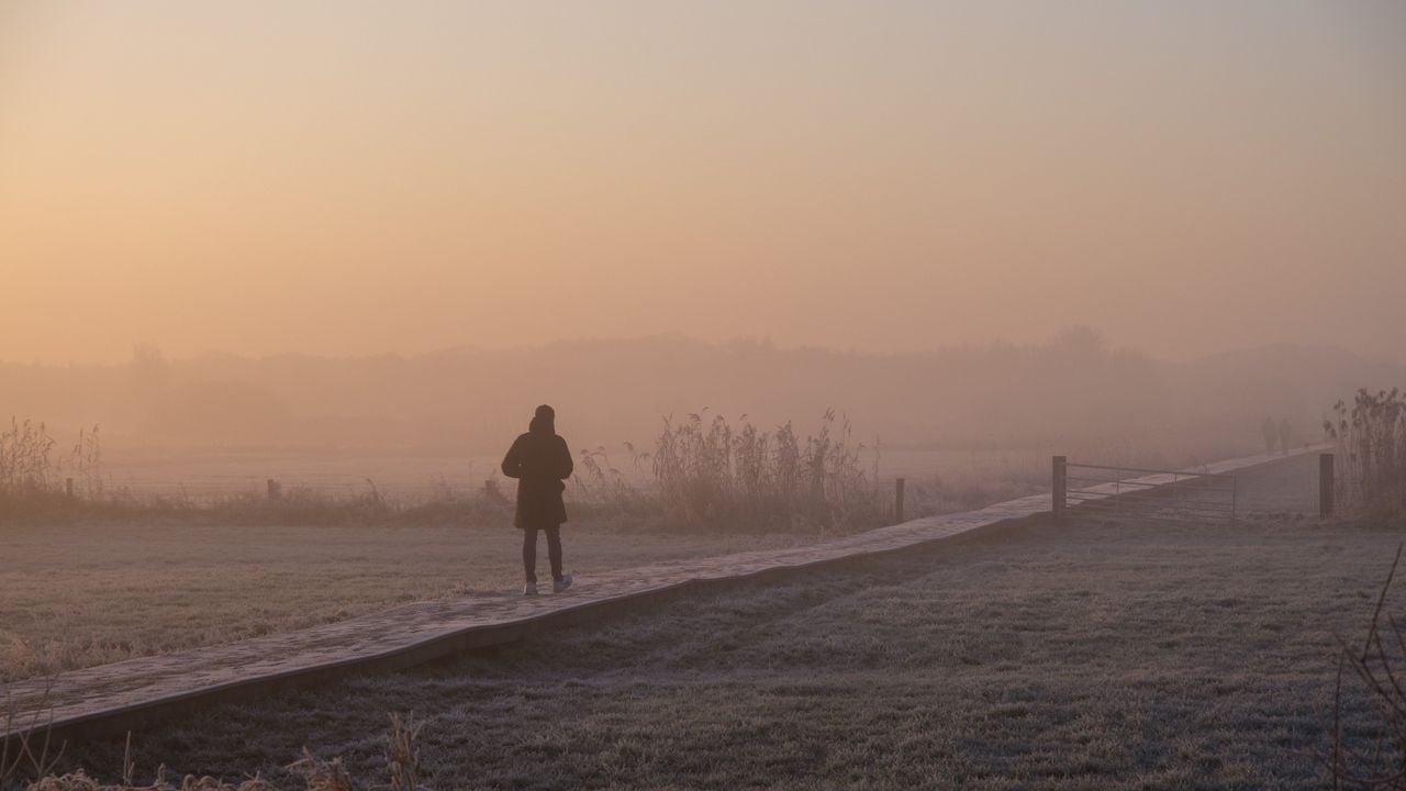 Koud en mistig bij de Bossche Broek (foto: Marc Glaudemans) 