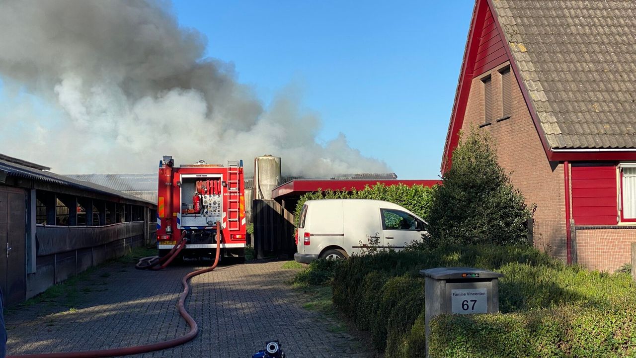 Foto: Perry Roovers/SQ Vision