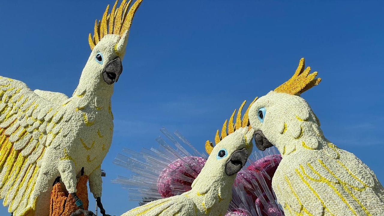 Buurtschap ’t Stuk - Curious (Foto: Omroep Brabant).