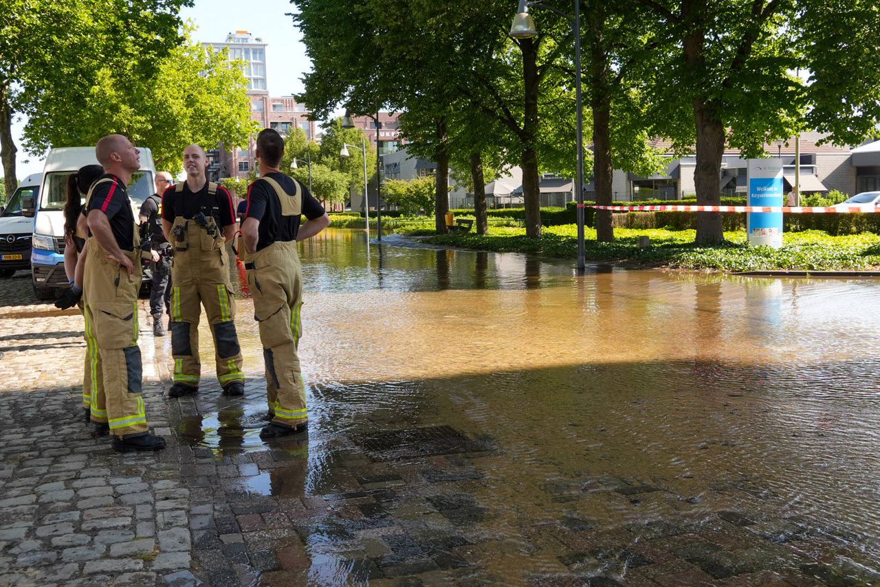 Foto: Harrie Grijseels / Persbureau Heitink