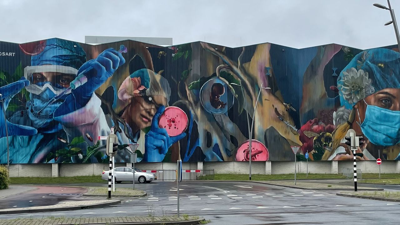 De muurschildering is 700 vierkante meter.