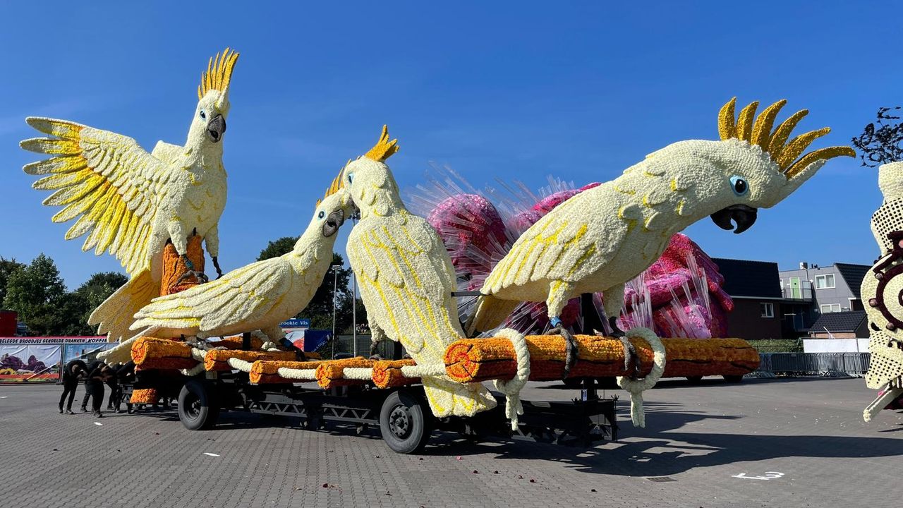 Buurtschap ’t Stuk - Curious (Foto: Omroep Brabant).
