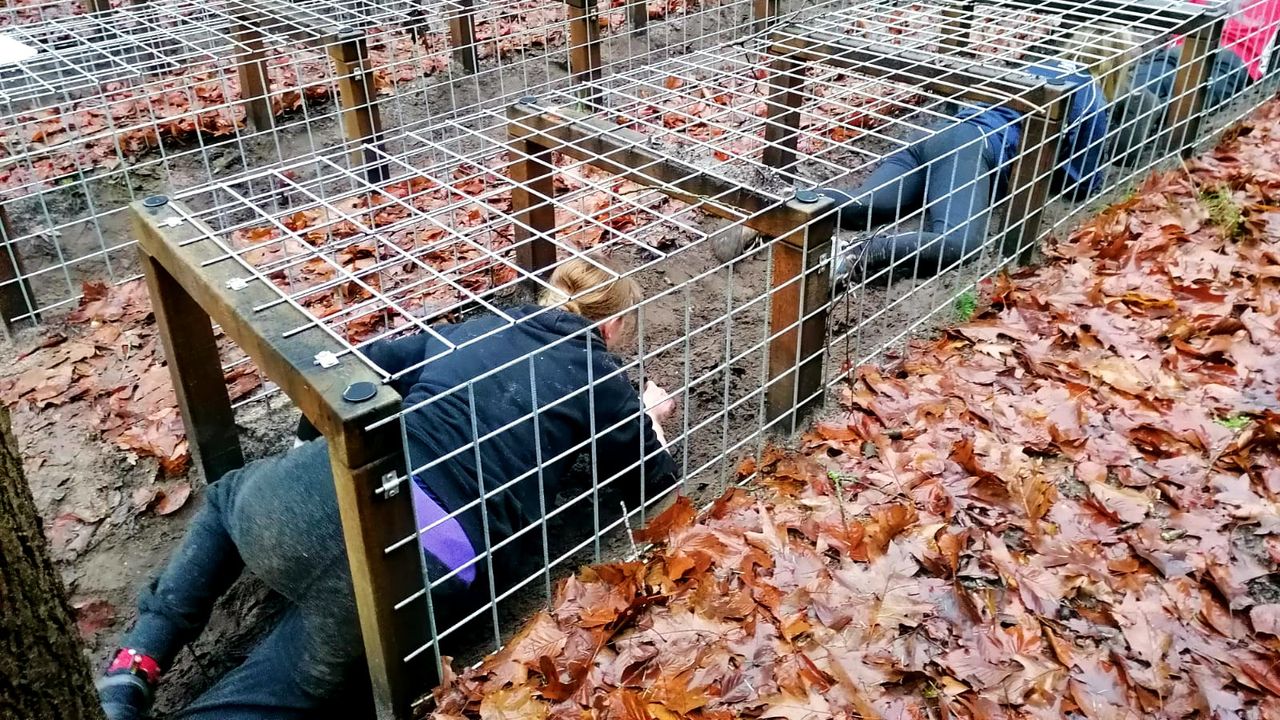 Jongeren tussen de dertien en zeventien jaar worden vier dagen getraind. 