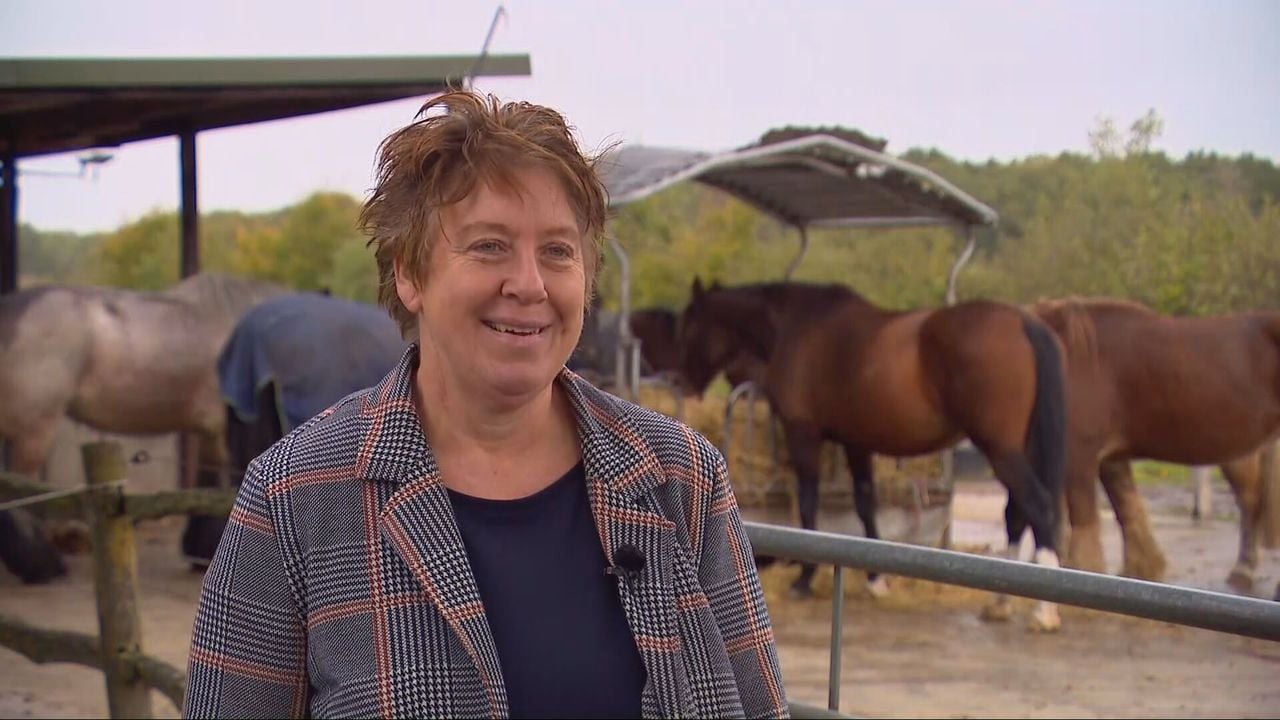 Brenda is paardencoach en stoppen-met-rokencoach (foto: Omroep Brabant).