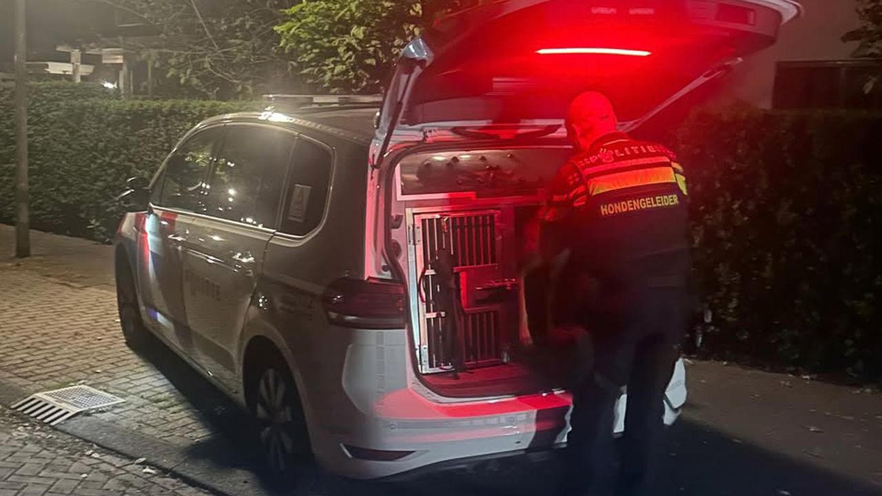 De hondengeleider maakt aanstalten om Duc en Max in te zetten (foto: Instagram Jeugdagenten Bergen op Zoom).