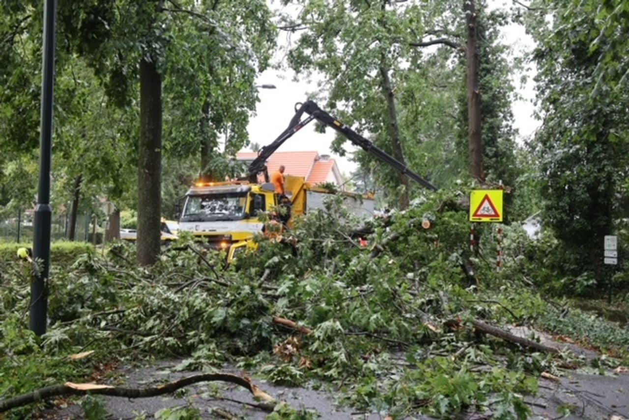 Veel omgewaaide bomen en takken in Vught (Foto: Bart Meesters/SQ Vision)