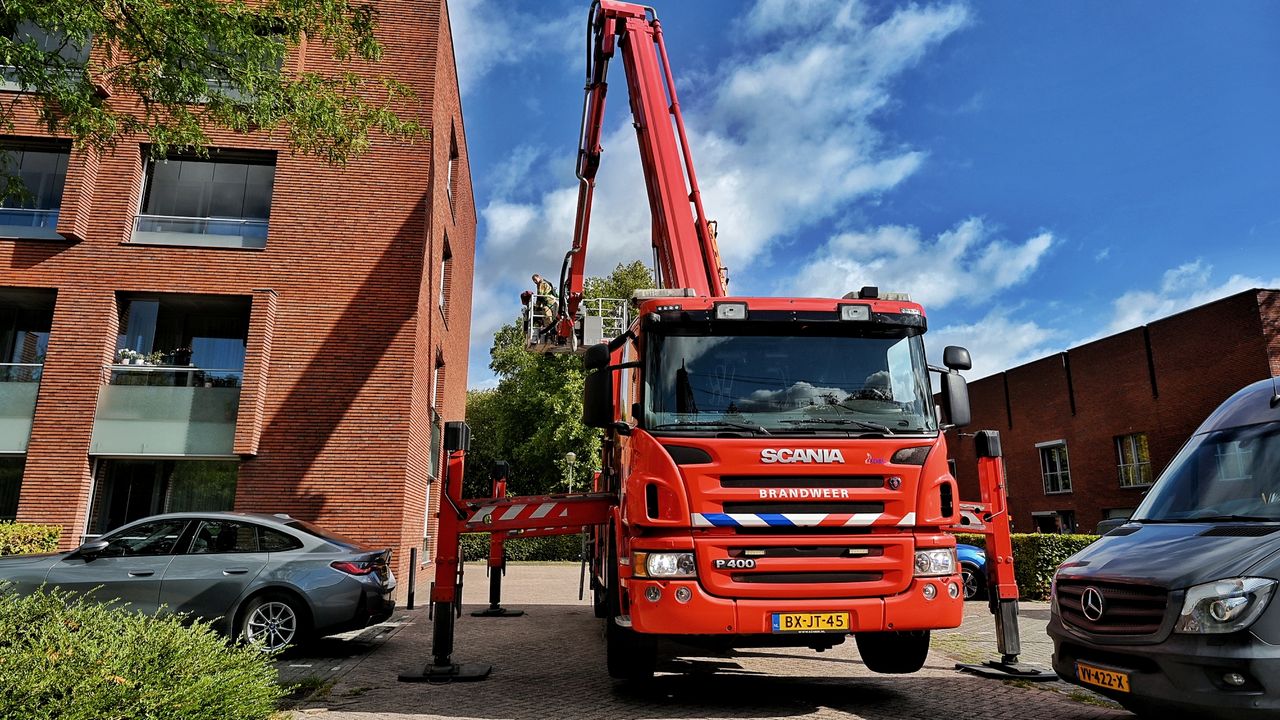 De redding van de duif (foto: Toby de Kort / Persbureau Heitink).