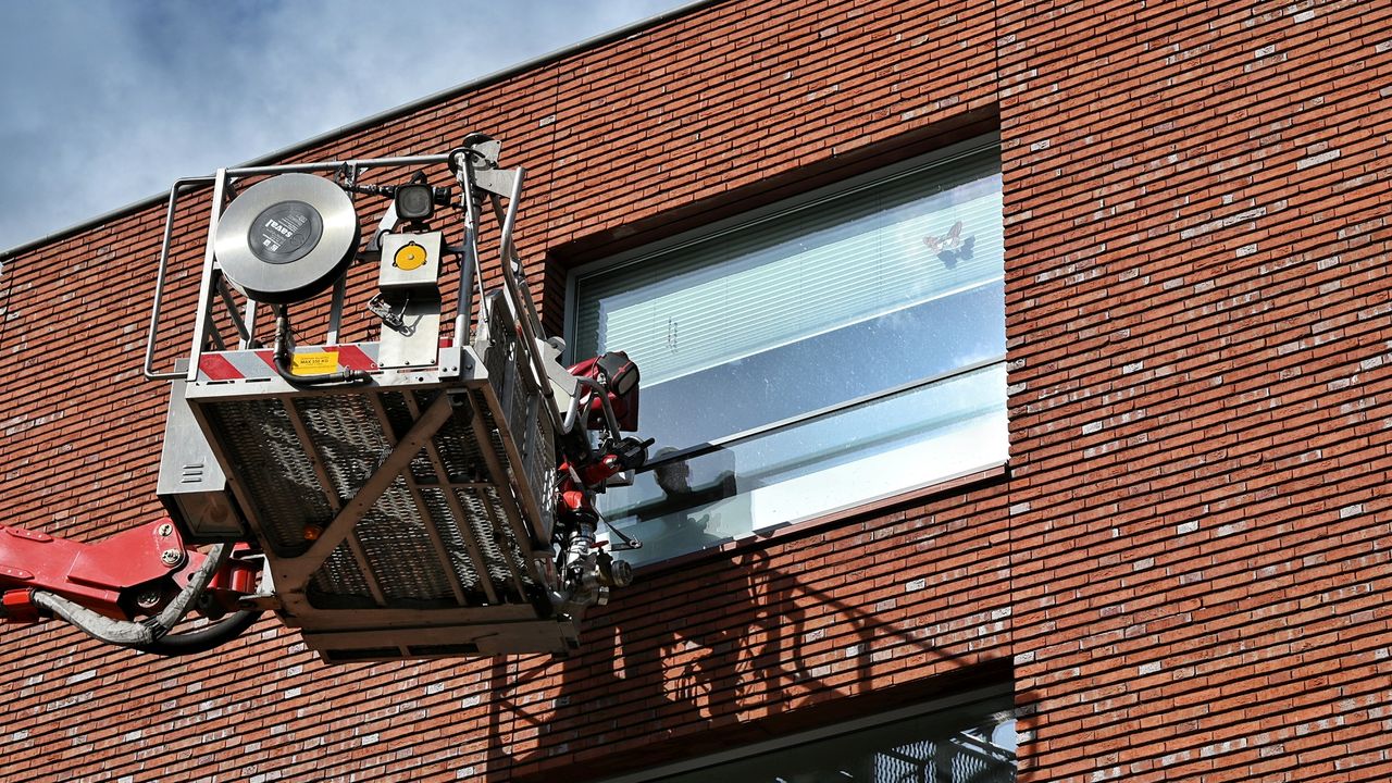 De redding van de duif (foto: Toby de Kort / Persbureau Heitink).