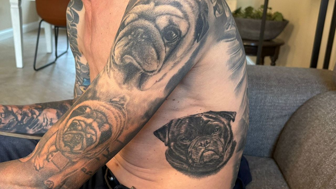 Foto: Mark Versmissen.