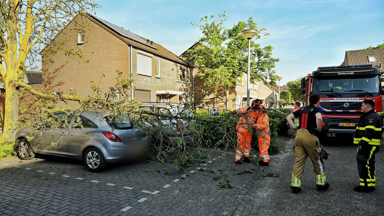 De brandweer bekijkt de situatie (foto: Toby de Kort/Persbureau Heitink).