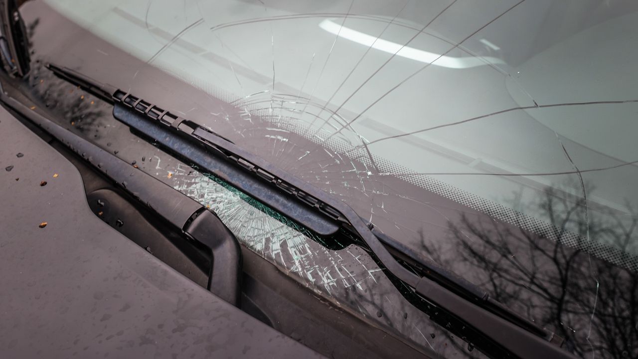 Foto: Sem van Rijssel/SQ Vision