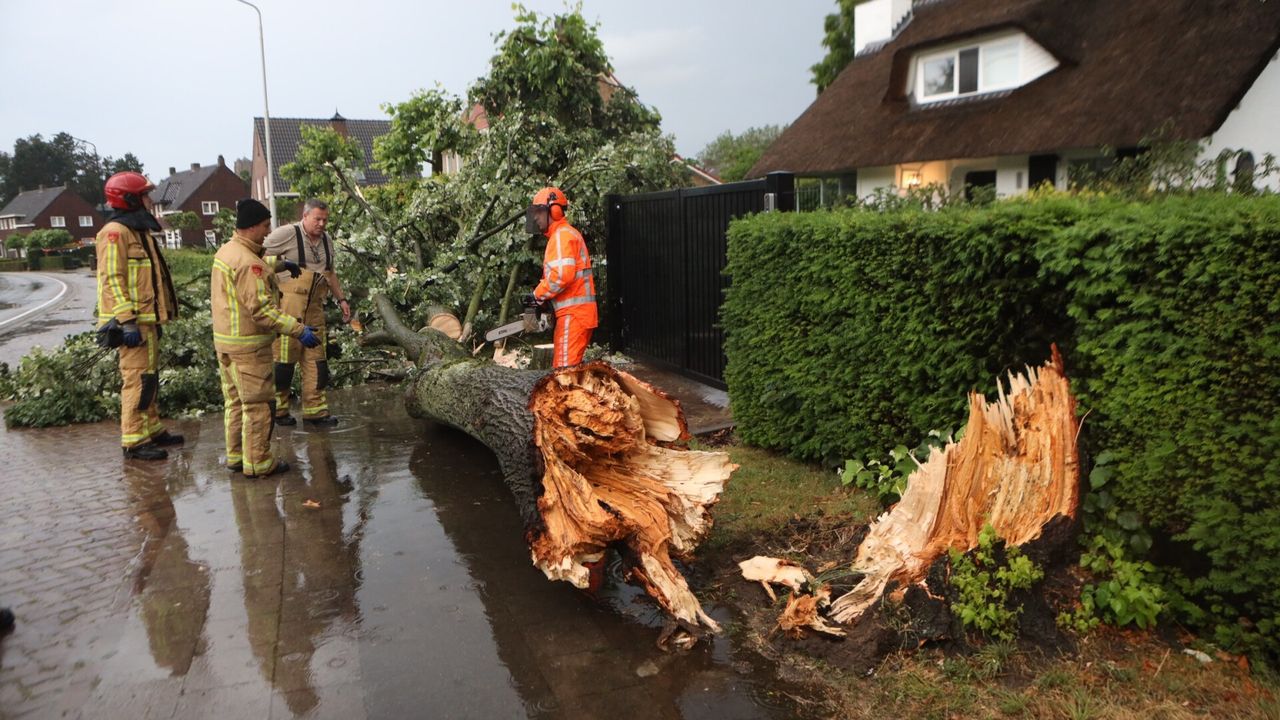 Aan de Bestseweg in Oirschot sneuvelde door het noodweer deze boom (foto: Sander van Gils/SQ Vision).