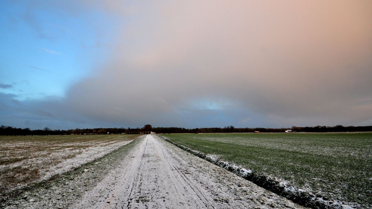 Mooie plaatjes uit Budel (foto: Ben Saanen).