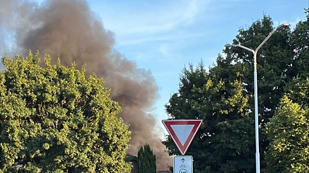 Foto: Sigrid Coolen/Omroep Brabant.