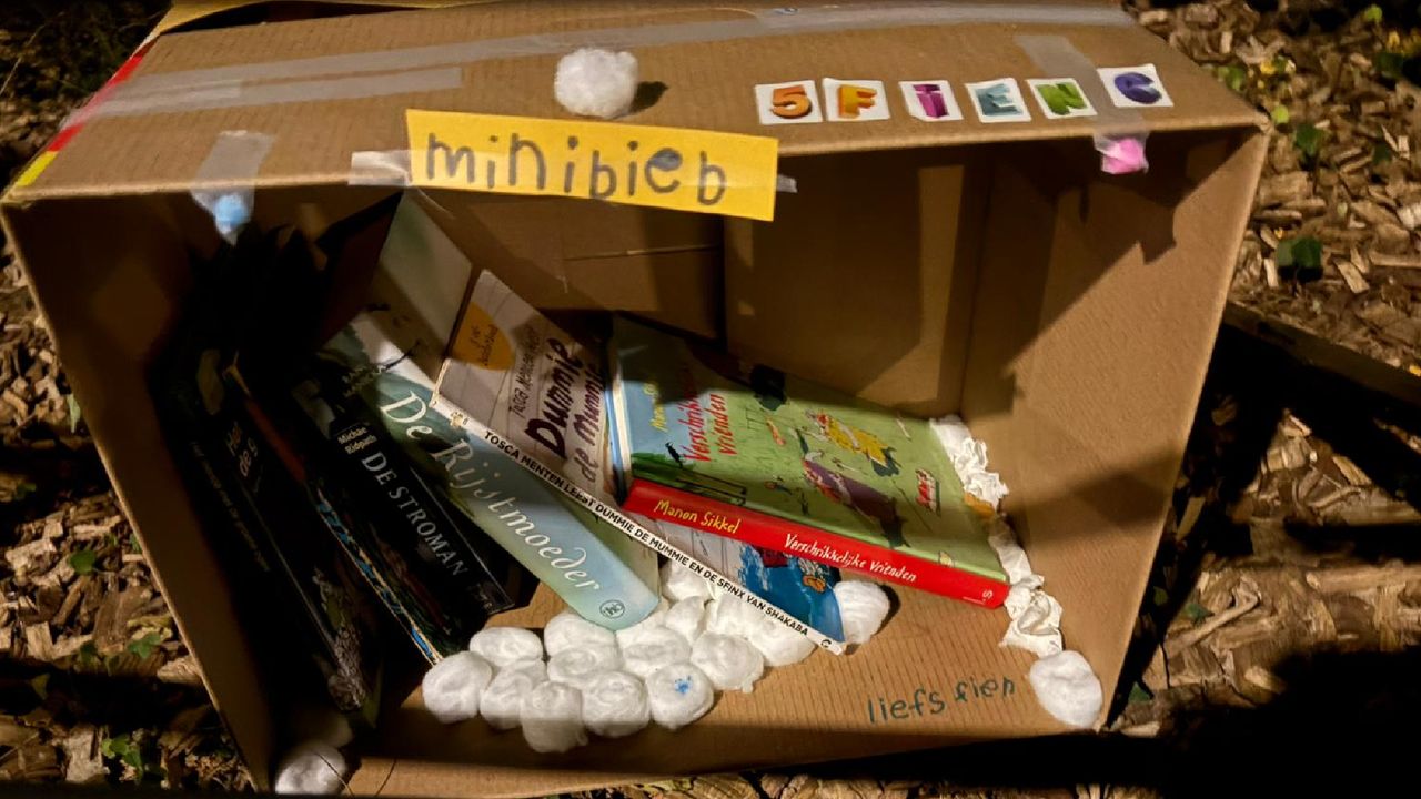 De 5-jarige Fien knutselde een alternatief voor de gestolen minibieb (foto: Pascal Rovers)