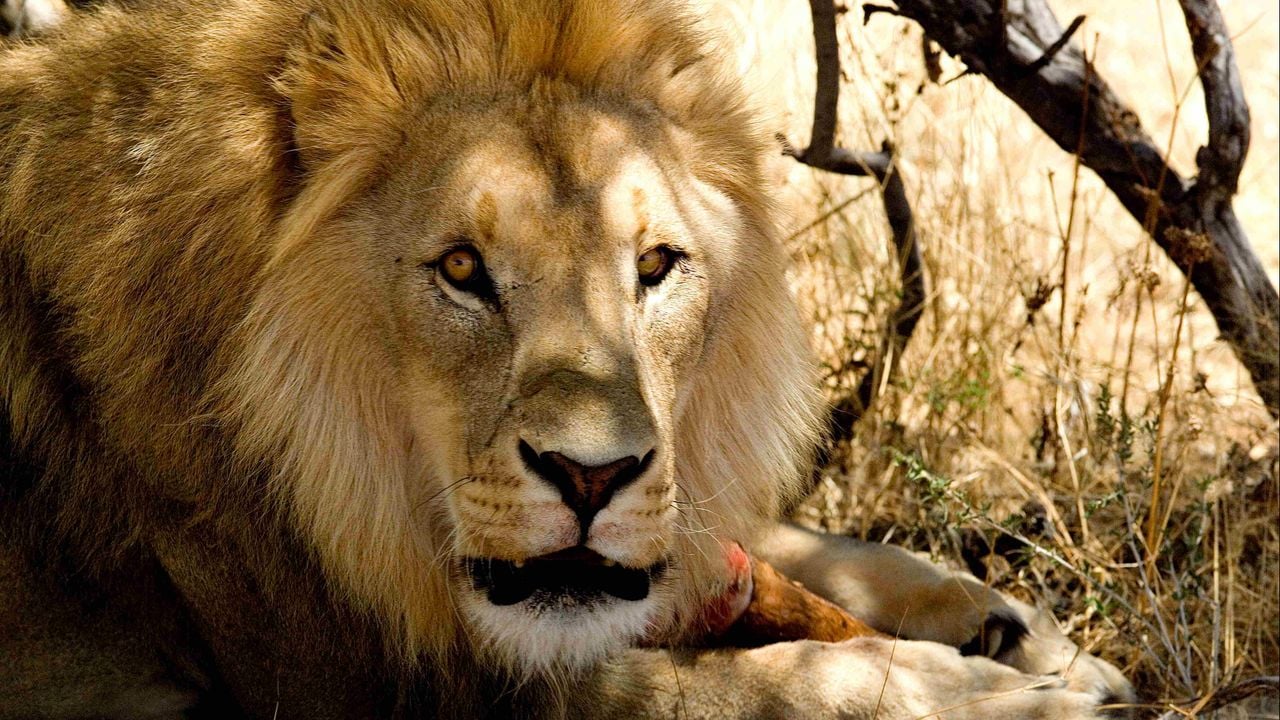 Wim van Passel fotografeerde dertig jaar over de hele wereld (foto: Wim van Passel).