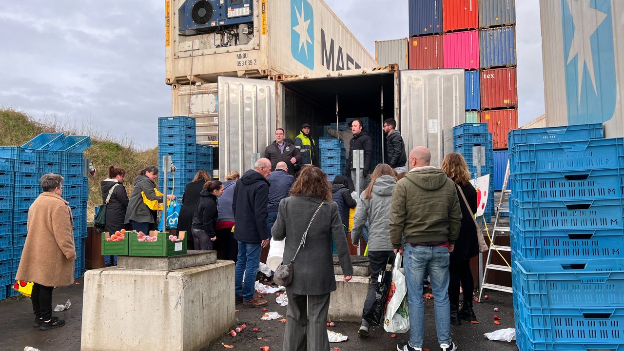 De gratis tomaten in Bergen op Zoom vonden gretig aftrek (foto: Zuidwest TV).