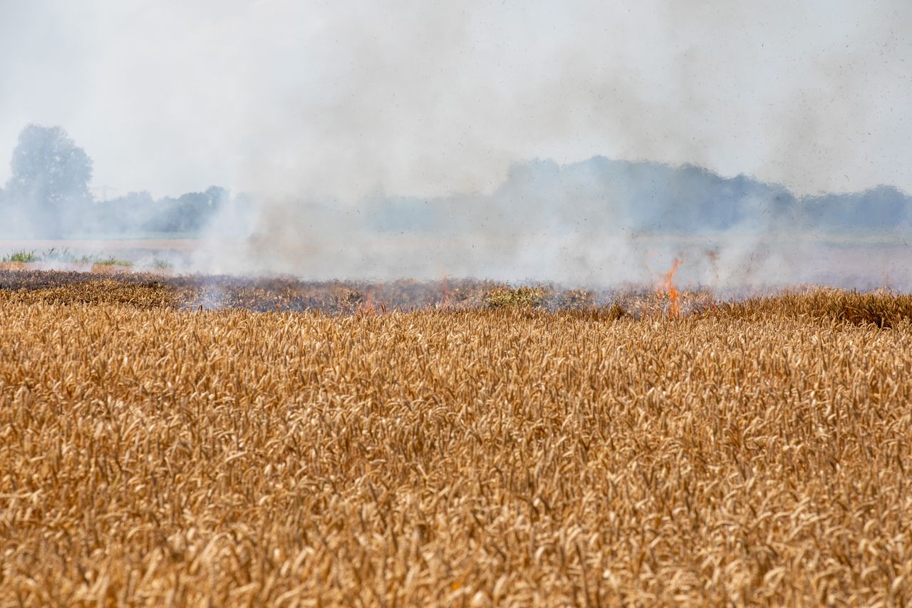 Foto: Christian Traets/Persbureau Heitink.
