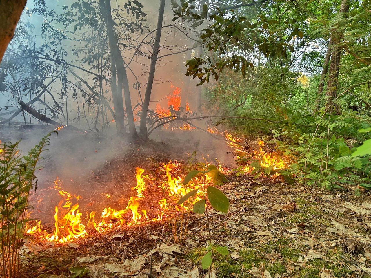 Foto: Rico Vogels/Persbureau Heitink.
