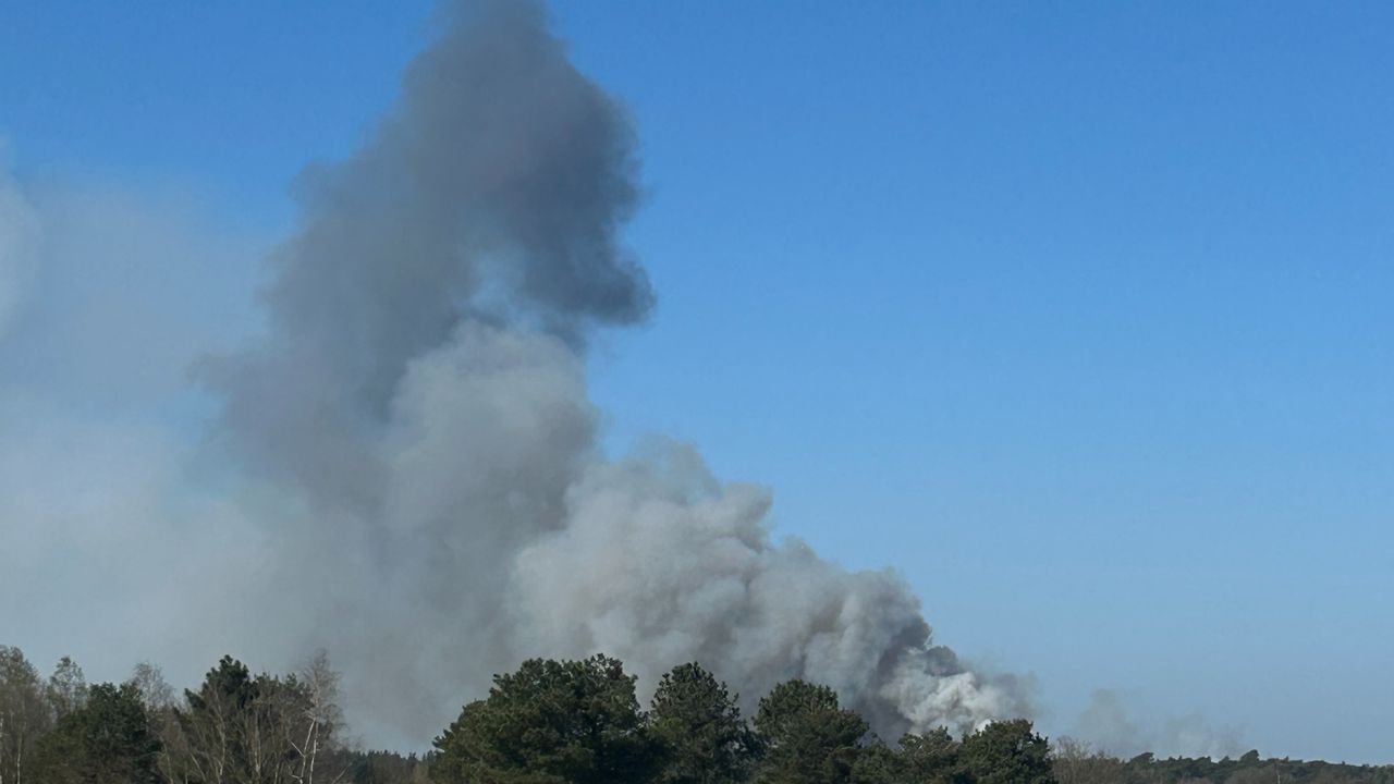 De rookwolken vanuit Bosch en Duin (foto: Mark van Stokkum).