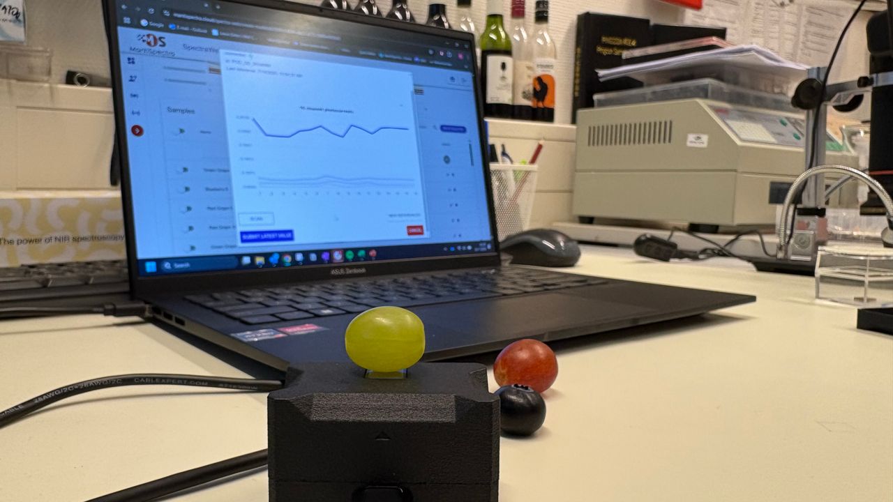 Met fotonische chips kan heel precies gemeten worden wanneer fruit geoogst moet worden