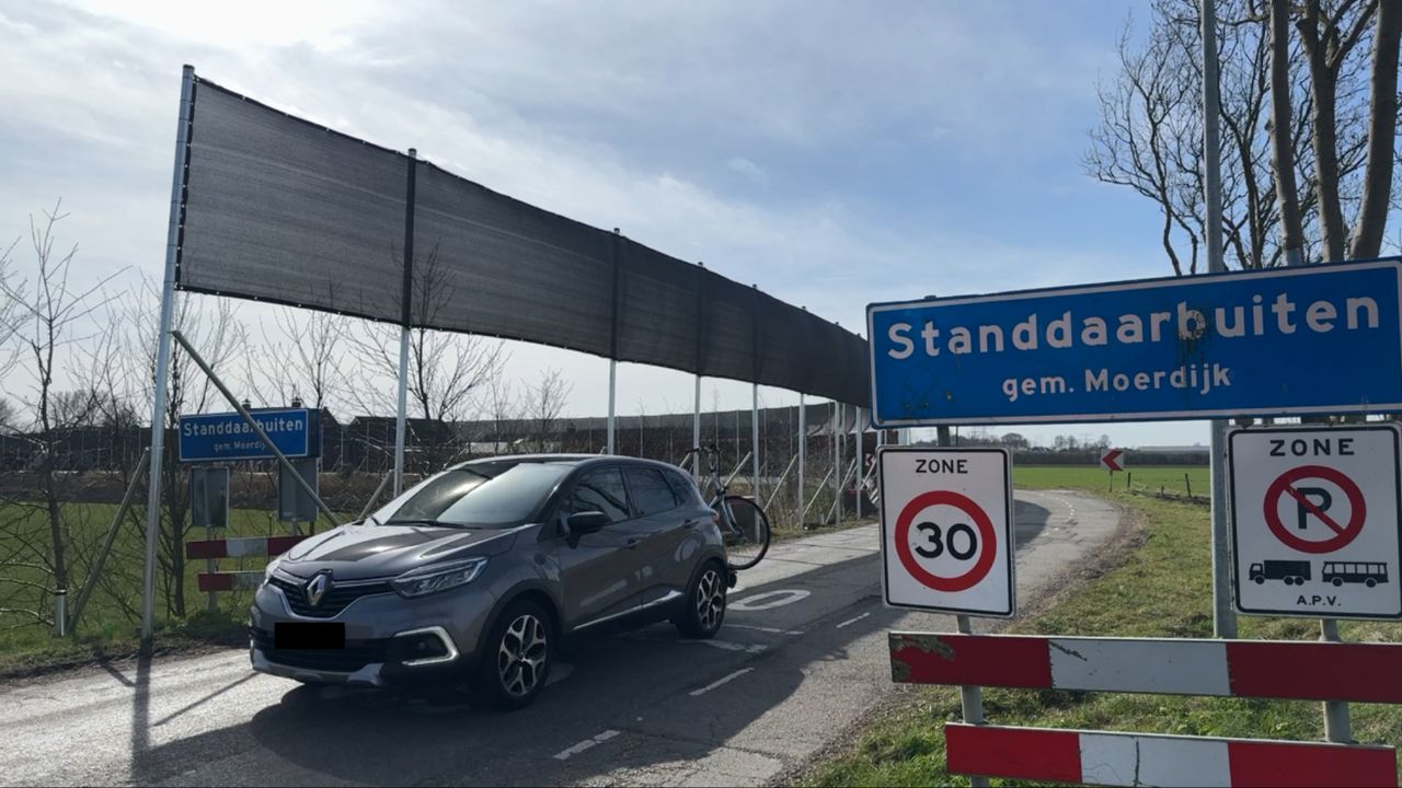 De vleermuisschermen in Standdaarbuiten staan op een stuk van zo'n 1,3 kilometer (foto: Niek de Bruijn)