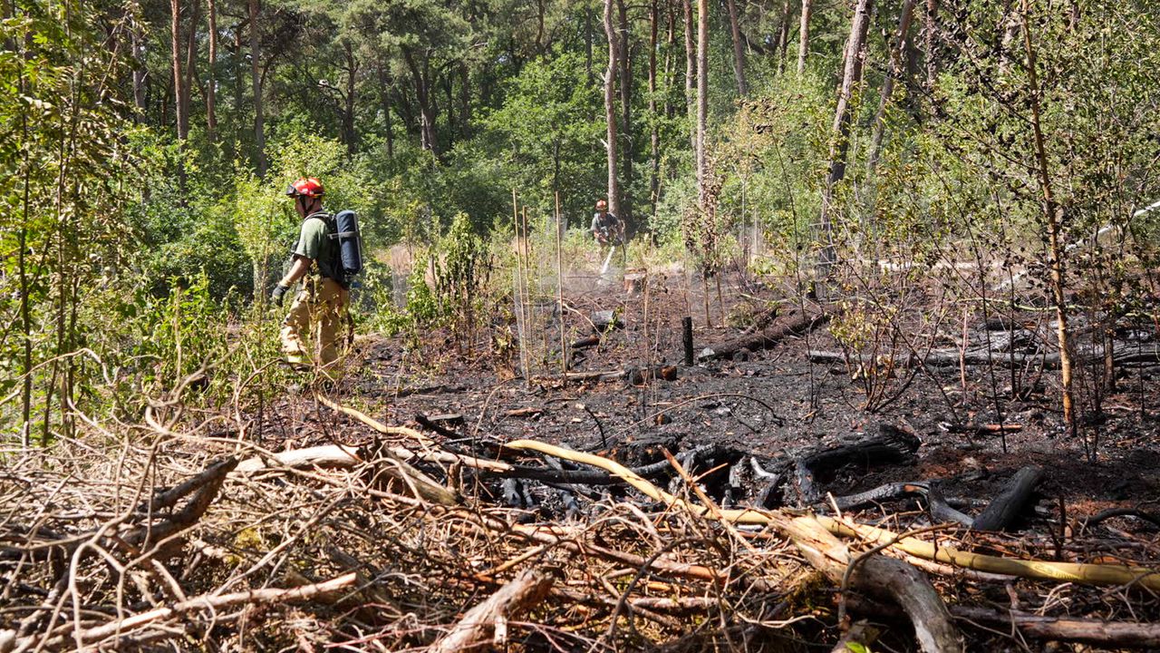 Brand in bos bij Handel (Harrie Grijseels / Persbureau Heitink).