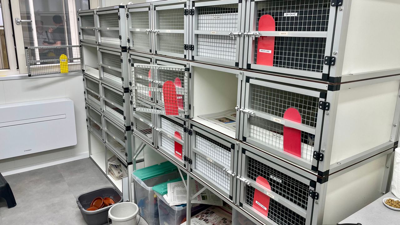 Het nieuwe egelverblijf (foto: Erik Peeters)