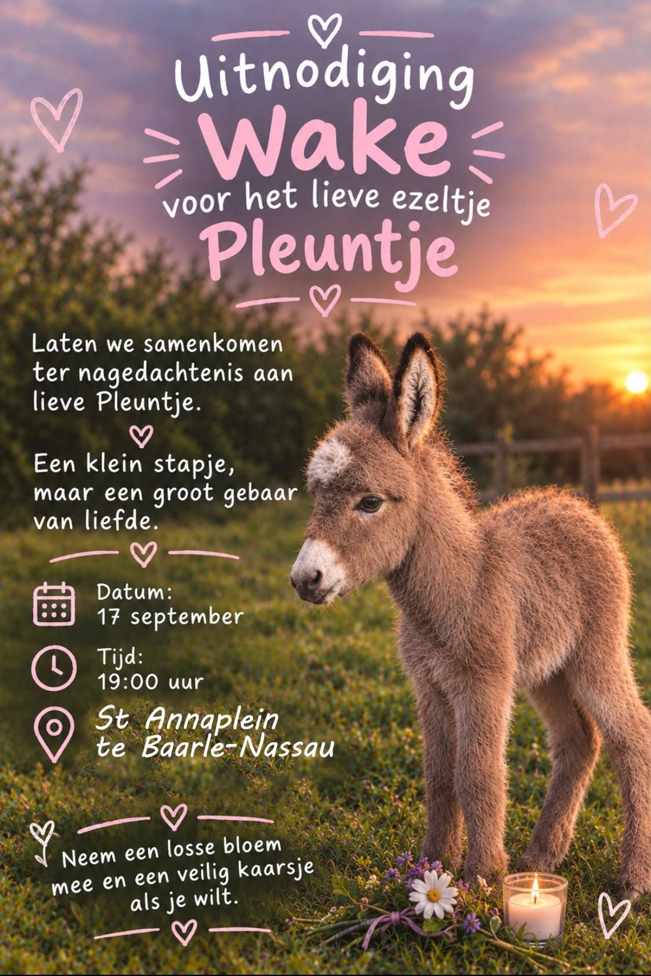 Wake voor ezeltje Pleun (foto: Nicolette Seggelink).