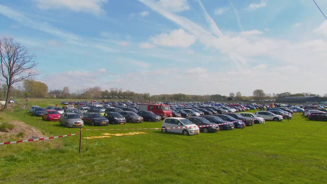 Volle bak op de weilanden van boer Anton. 
