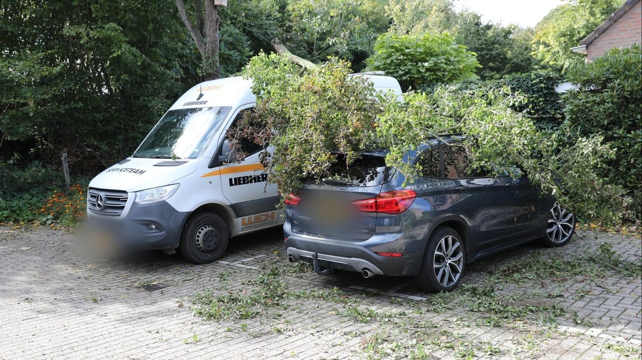 Aan de Amberberg in Roosendaal werden twee auto's getroffen door een zware tak (foto: Christian Traets/Persbureau Heitink).