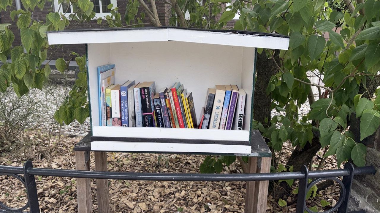 De nieuwe minibieb van de familie Rovers (foto: Pascal Rovers)