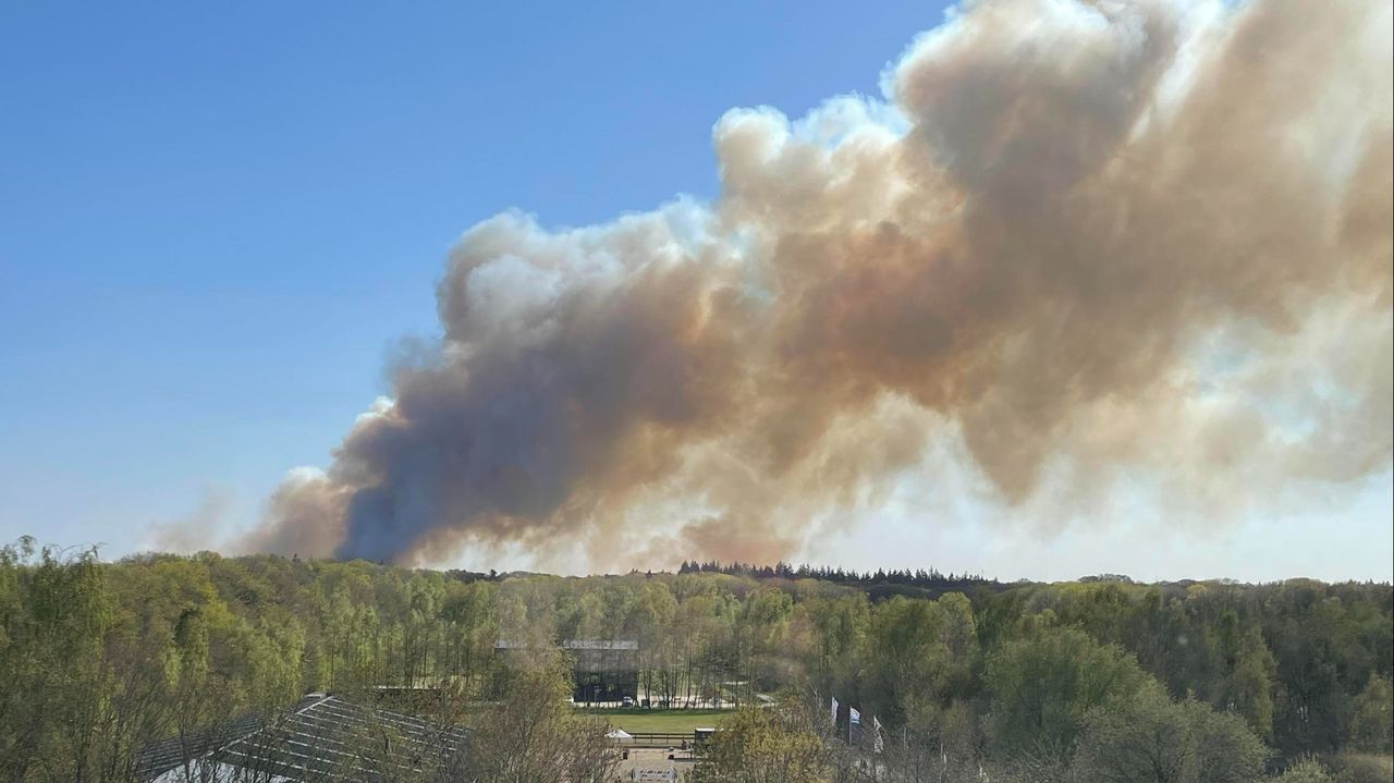 De brand vanaf de Drunenseweg in Waalwijk (foto: Nicole van Oudheusden)