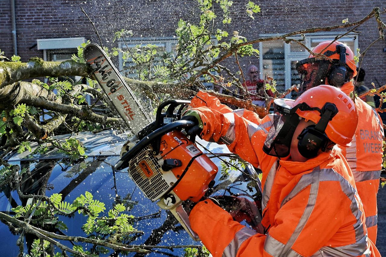 De brandweer maakte korte metten met de tak (foto: Toby de Kort/Persbureau Heitink).