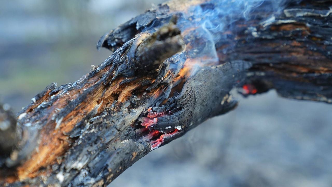 Foto: Rico Vogels/Persbureau Heitink