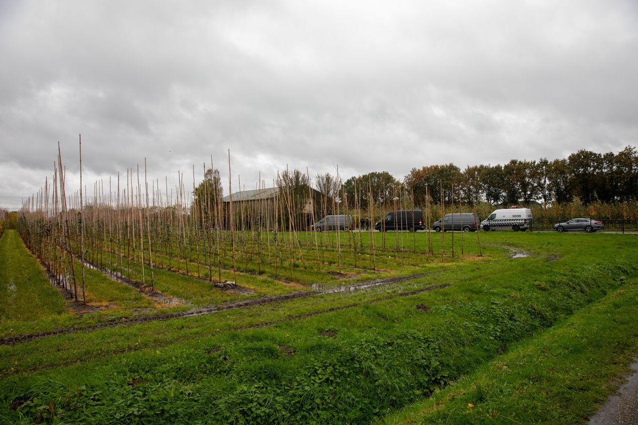 Foto: Christian Traets / SQ Vision