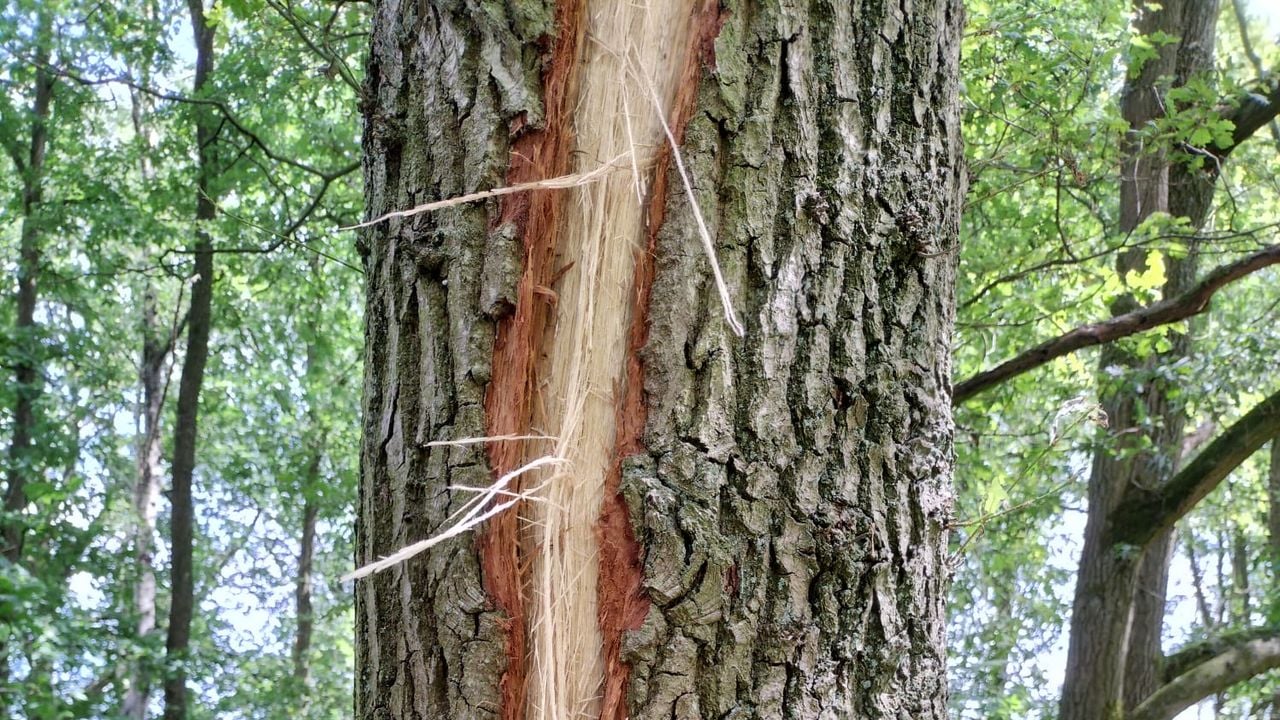 Schade aan een door blikseminslag (foto: Loekie Schuurmans).