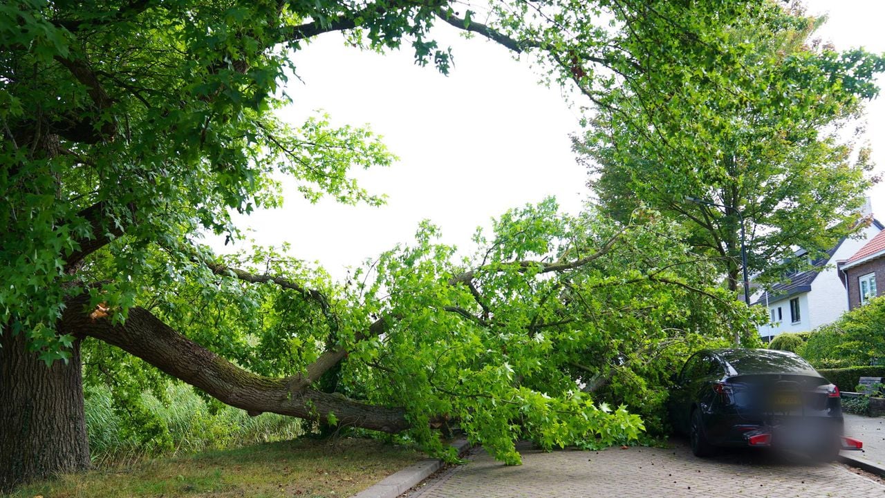 Foto: Bart Meesters/Persbureau Heitink.