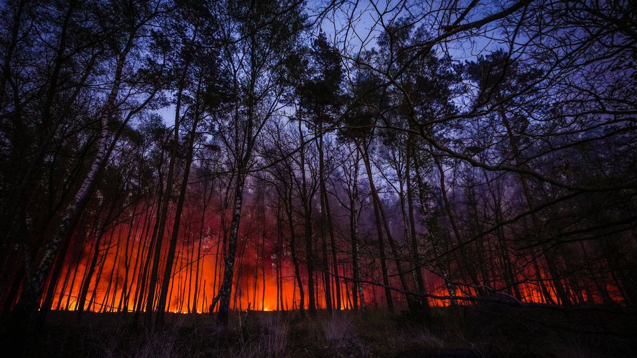 Foto: Persbureau Heitink