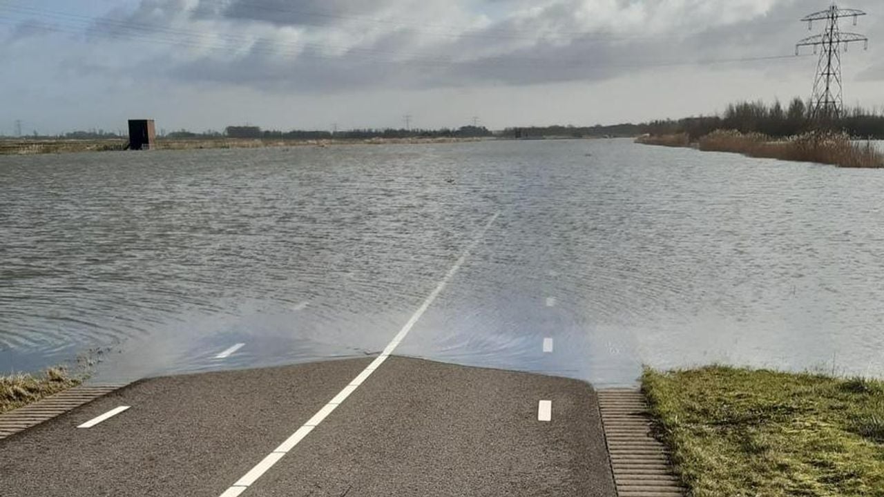 Veel wegen in de Biesbosch zijn vanwege het hoogwater niet begaanbaar (foto: Harm Blom).