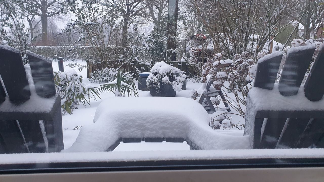 Een dikke laag in de tuin van Imro in Best (foto: Imro Boessen)