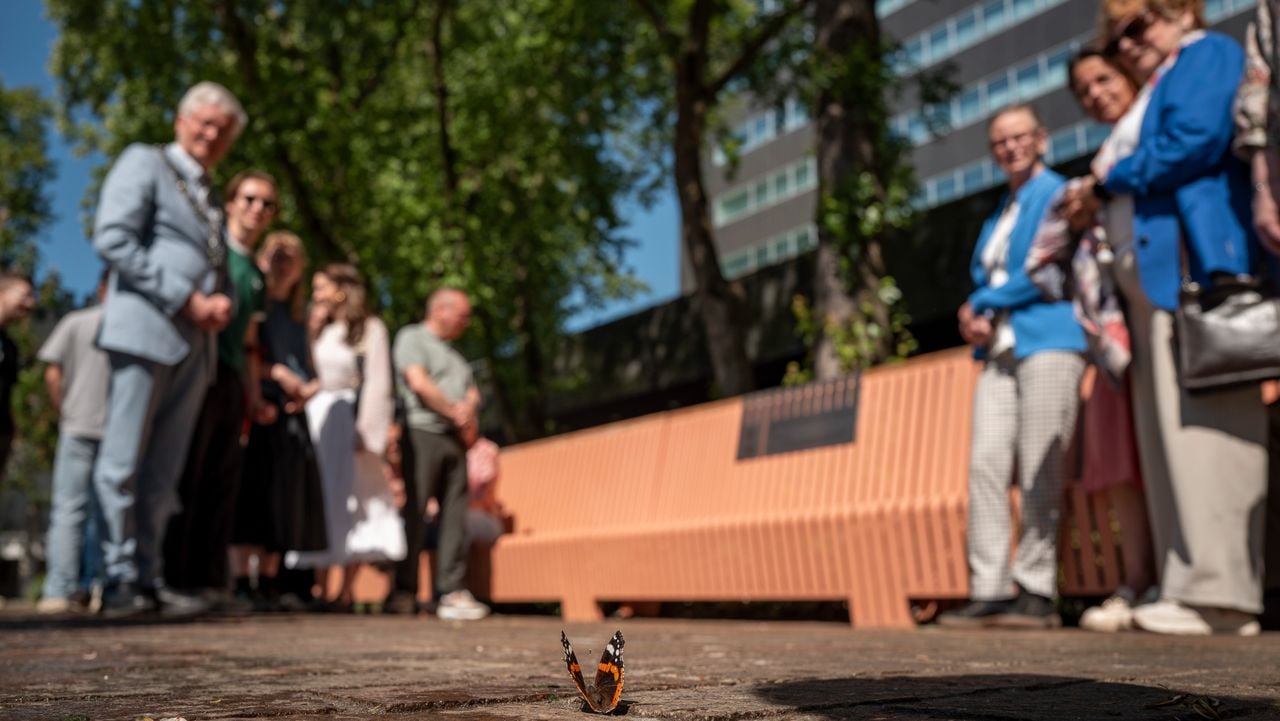 Er was een vlinder bij de onthulling (foto: Joris Buijs fotografie).