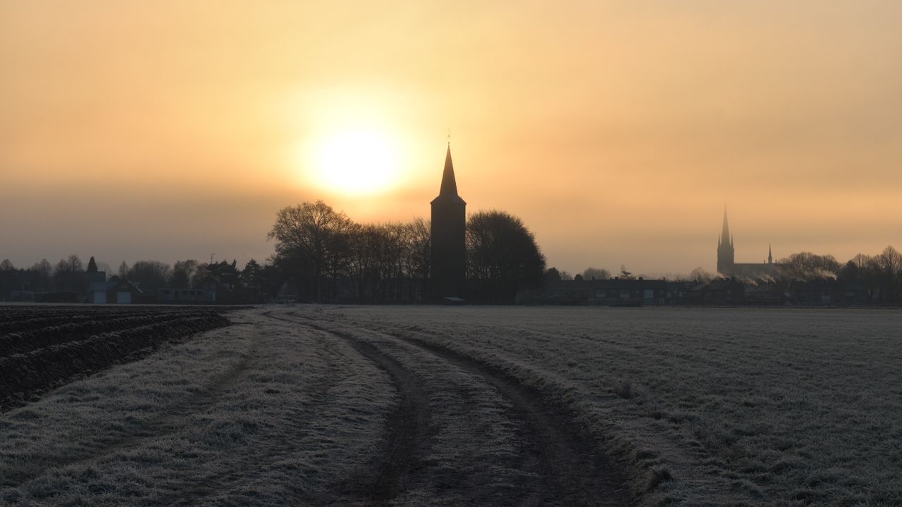 Stiphout (foto: Willem van Nunen)