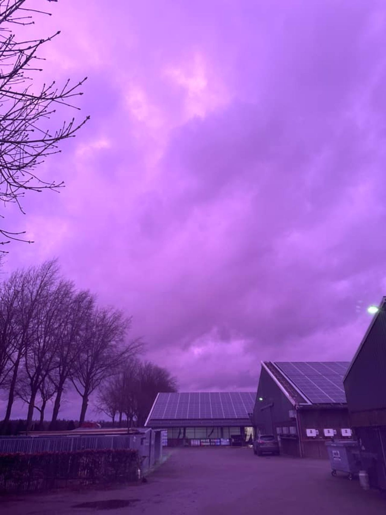 Foto: Laura van Raaij.