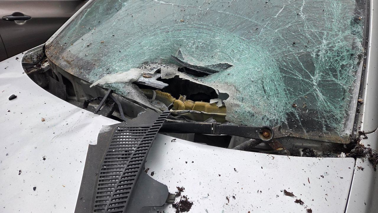 Foto: Noël van Hooft