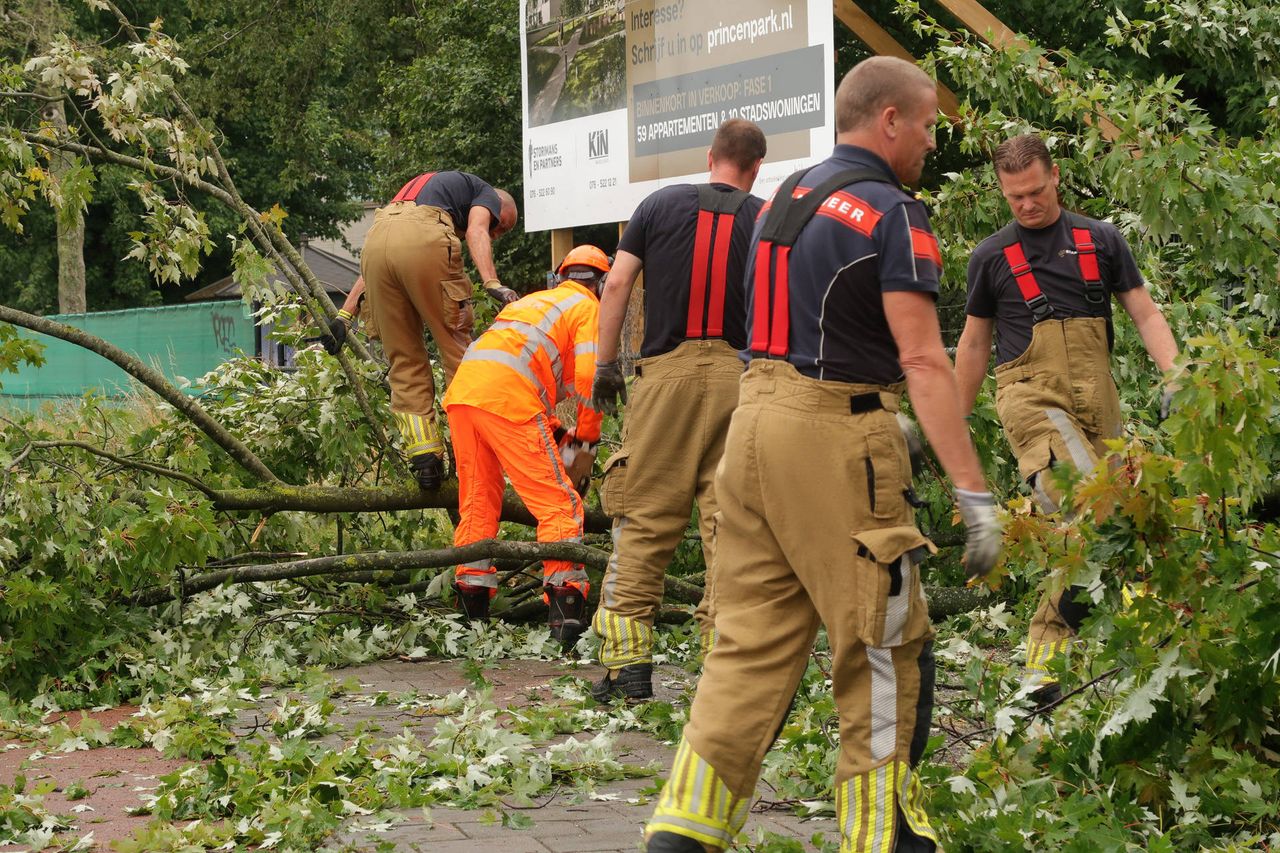 Brandweerlieden zaagden de tak in mootjes (foto: Perry Roovers/Persbureau Heitink).