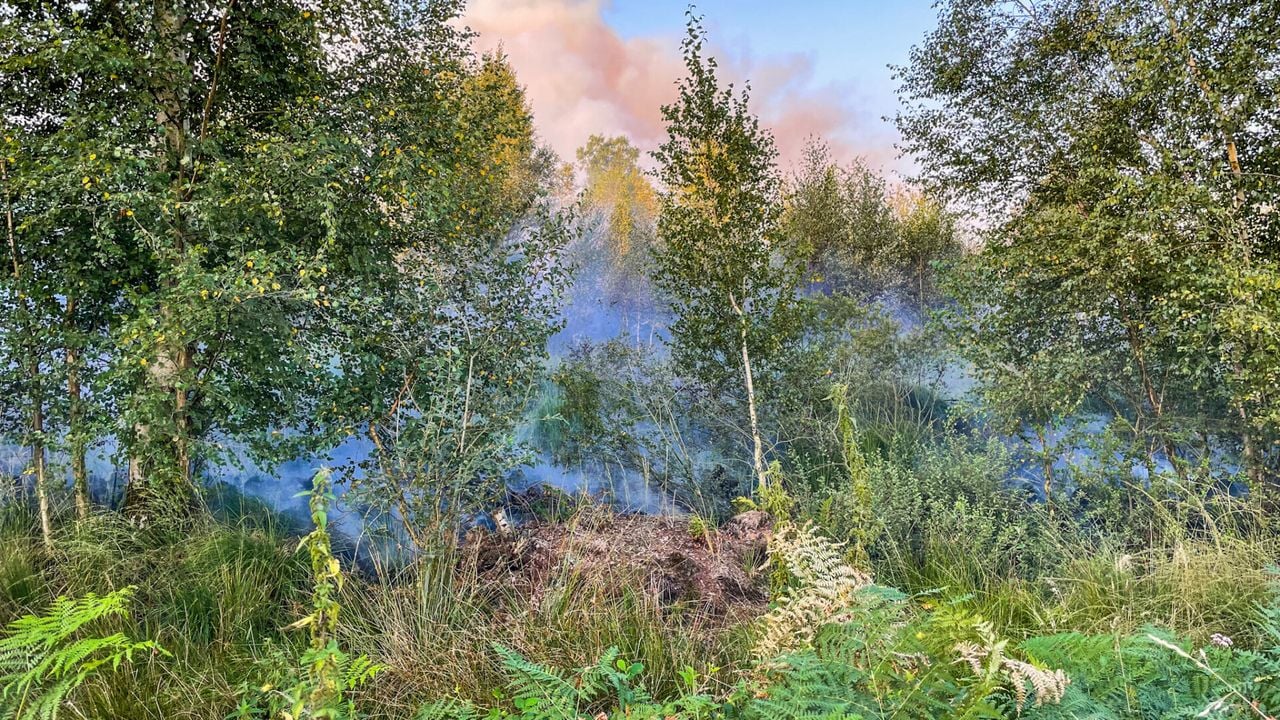 Foto: Dave Hendriks/SQ Vision.