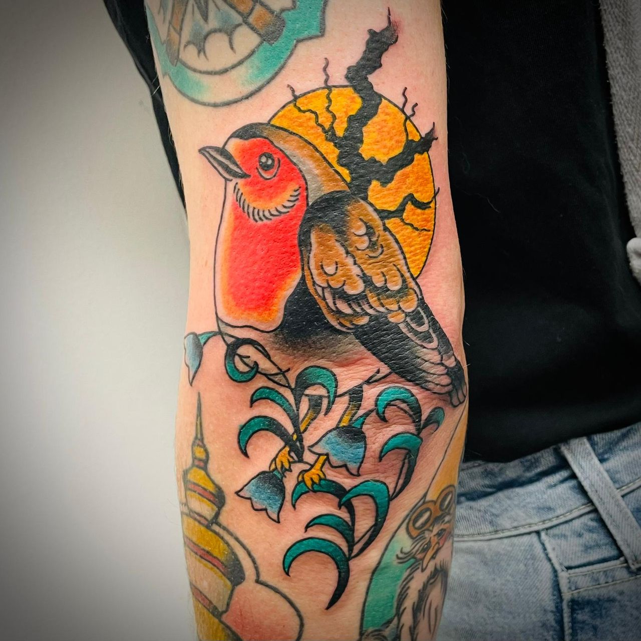 Het roodborstje (eigen foto).