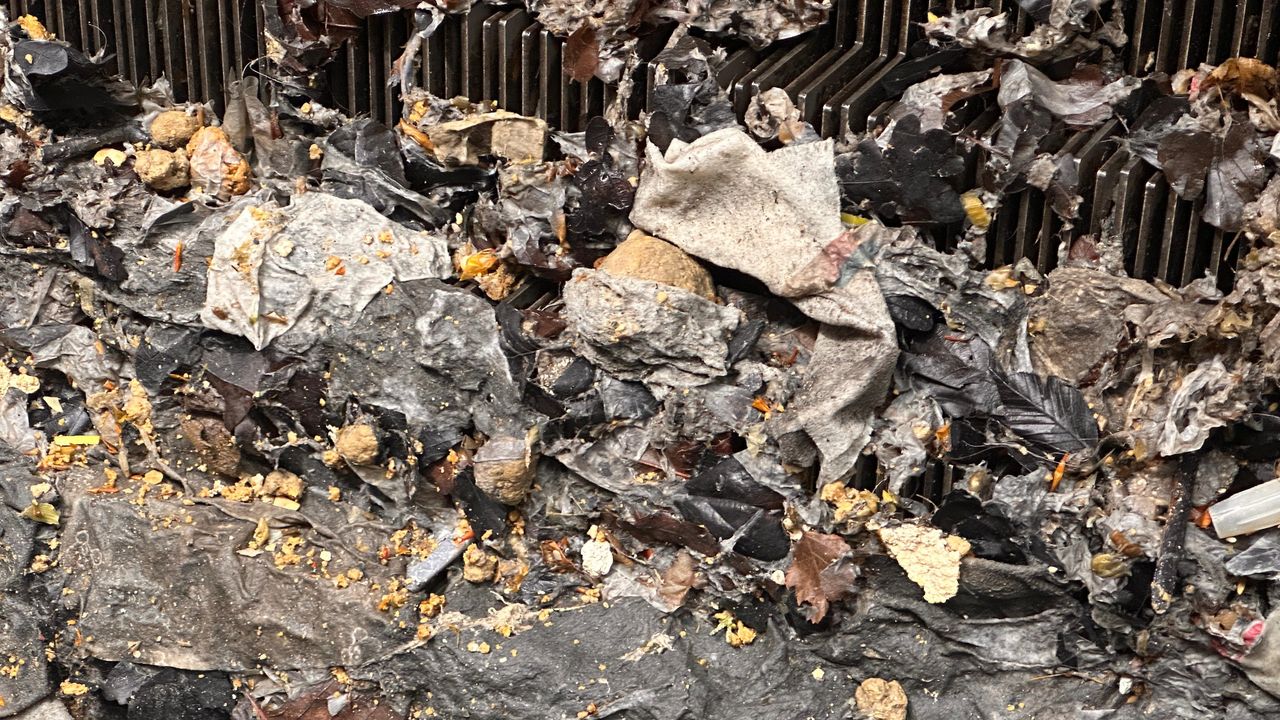 Vochtig toiletpapier in een van de waterzuiveringsinstallaties van waterschap Aa en Maas (foto: Jan Peels).