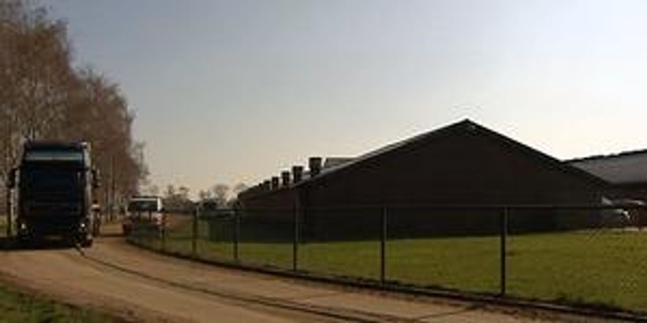 Het bedrijf van Van den B. nadat het onder toezicht was geplaatst (foto: Omroep Brabant).